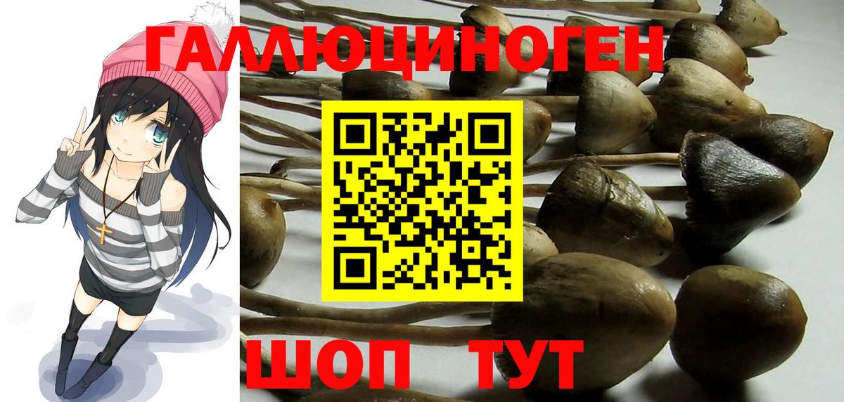 Апатиты  Псилоцибиновые грибы мицелий  Вход с VPN 