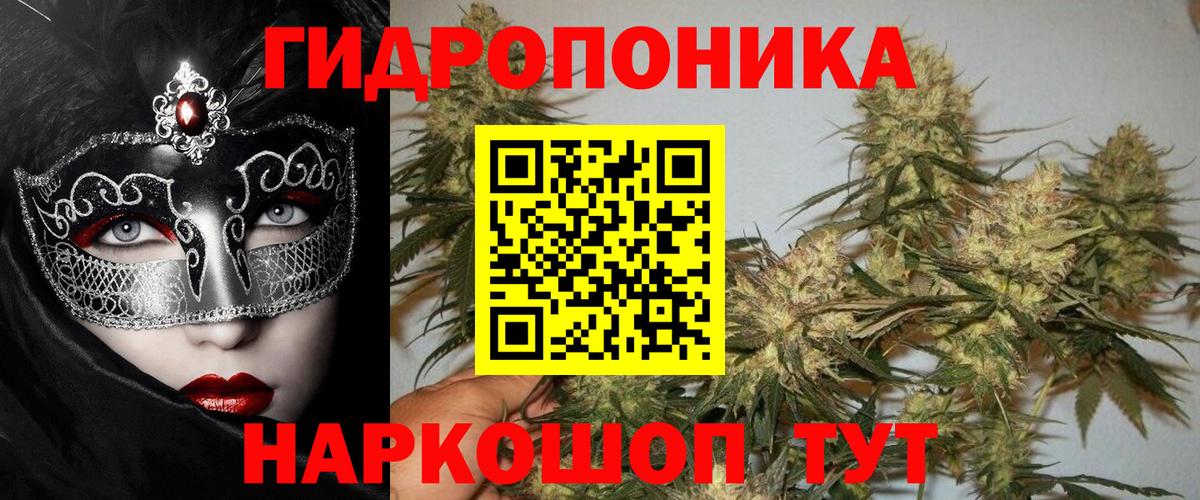 МАРИХУАНА план  Вход с VPN  Апатиты  Бошки марихуана семена 